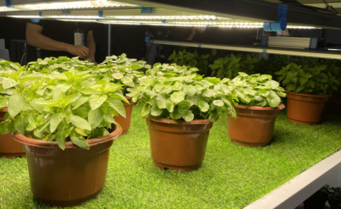 1664241113722248.png image.png